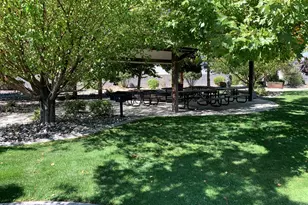 1180 Bandtail Dr, Carson City, NV 89701 - Photo 41