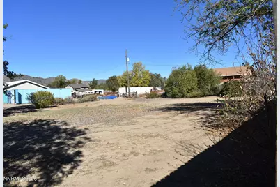 1366 Judy Street, Minden, NV 89423 - Photo 53