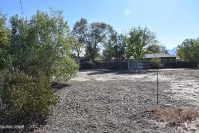 1366 Judy Street, Minden, NV 89423 - Photo 57