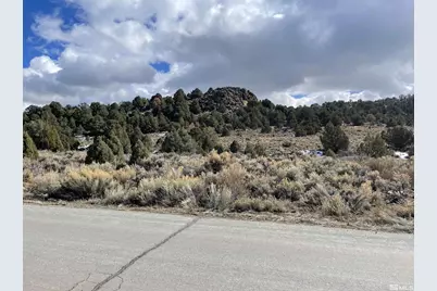 2311 Lousetown Road, Virginia City, NV 89521 - Photo 1