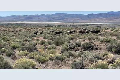 9025 Wildflower Road, Stagecoach, NV 89429 - Photo 1