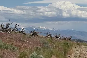 Tbd Hwy 395, Gardnerville, NV 89410 - Photo 1