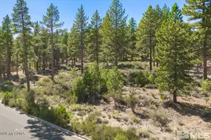 20585 Margaux Rd, Reno, NV 89511 - Photo 1