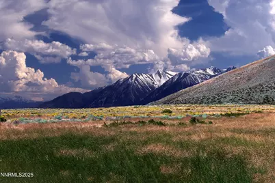 315 James Canyon Loop, Genoa, NV 89411 - Photo 1