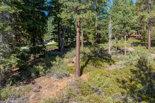 1227 Hwy 50, Glenbrook, NV 89413 - Photo 1