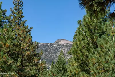 1350 Douglas Fir Drive, Reno, NV 89511 - Photo 1