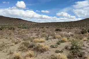 015-591-08 Holly Ave, Silver Springs, NV 89429 - Photo 1