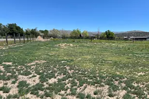 1909 Arabian Ln, Gardnerville, NV 89410 - Photo 1