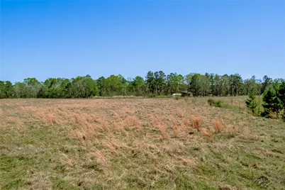 Na Kickapoo Road, Groveton, TX 75845 - Photo 7