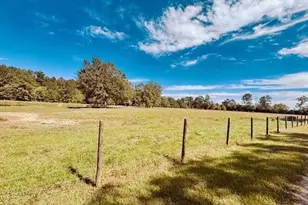 15421 Hwy 12, Orange, TX 77632 - Photo 5