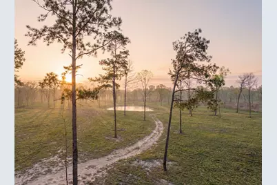 Lot 7 Johnson Drive, Livingston, TX 77351 - Photo 5