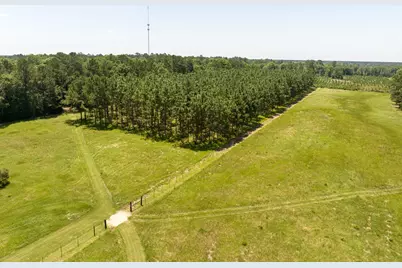 33791 Fm 787, Votaw, TX 77376 - Photo 49