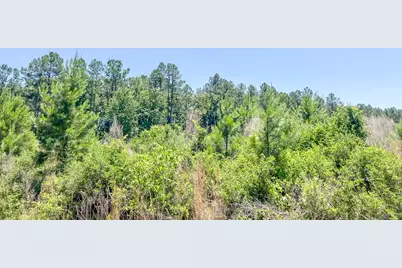 T-2 Union Springs Road, Corrigan, TX 75939 - Photo 5