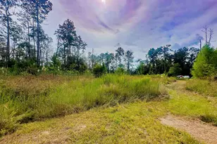 3104 Woodland Ridge, Orange, TX 77632 - Photo 19