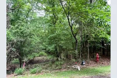 59 S Pine Harbour Drive, Coldspring, TX 77331 - Photo 1