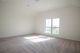 38 Palmero Way, Manvel, TX 77578 - Photo 21