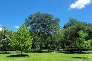 26700 Pine Tree Ct, Waller, TX 77484 - Photo 37