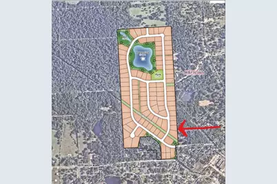 514 Black Bronco Road, Magnolia, TX 77354 - Photo 3