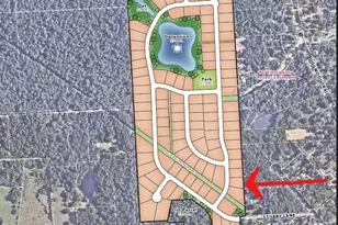 514 Black Bronco Rd, Magnolia, TX 77354 - Photo 3