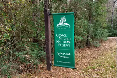 98 S Wilde Yaupon Court, Spring, TX 77381 - Photo 49