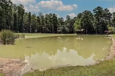 Lot 13 Windmill Road, Huntsville, TX 77340 - Photo 17