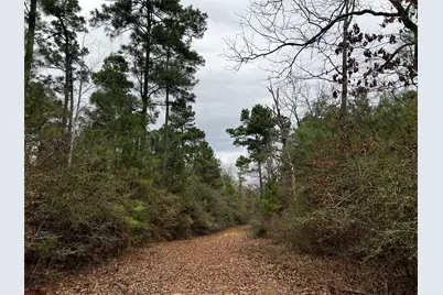 Tbd County Road 207, Centerville, TX 75833 - Photo 3