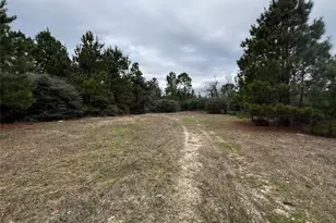 Tbd County Road 207, Centerville, TX 75833 - Photo 1