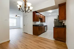 2255 Braeswood Park Dr, Houston, TX 77030 - Photo 7