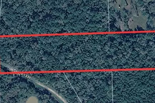 0 County Road 1330, Liberty, TX 77575 - Photo 1