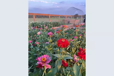 5720 Trackside Road, Chappell Hill, TX 77426 - Photo 13