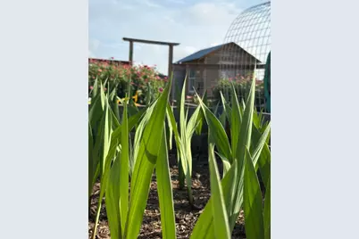 5720 Trackside Road, Chappell Hill, TX 77426 - Photo 11