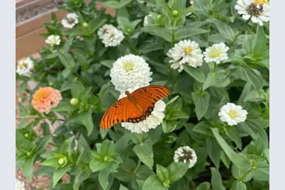 5720 Trackside Road, Chappell Hill, TX 77426 - Photo 7