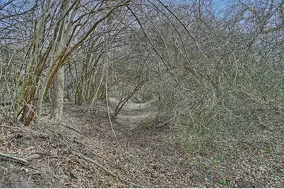 5720 Trackside Road, Chappell Hill, TX 77426 - Photo 9