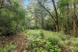 Tbd Homestead Ln, Burton, TX 77835 - Photo 1