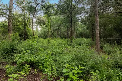 Tbd Homestead Lane, Burton, TX 77835 - Photo 11