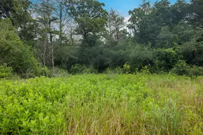 Tbd Homestead Lane, Burton, TX 77835 - Photo 5