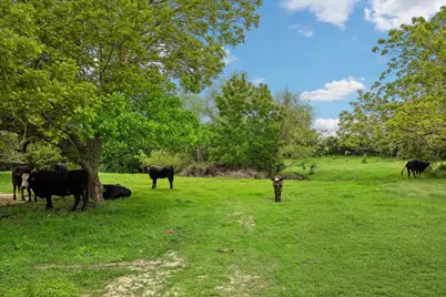 4754 Wickel Road, Burton, TX 77835 - Photo 13