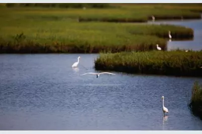 45 Shell Key, Hitchcock, TX 77563 - Photo 35