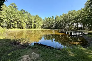 5096 N US Hwy 287, Grapeland, TX 75844 - Photo 3