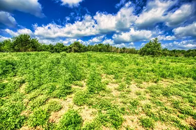 Lot 4 Wonder Hill Road, Chappell Hill, TX 77426 - Photo 7