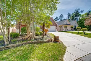 75 Tapestry Forest Pl, The Woodlands, TX 77381 - Photo 3