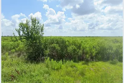 3030 Cr-807, Angleton, TX 77515 - Photo 3