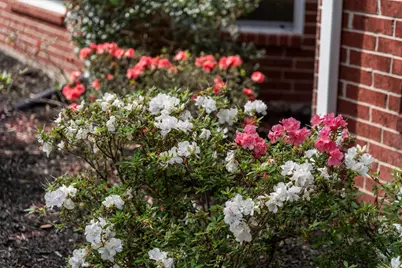 8324 Emerald Meadow Lane, Humble, TX 77396 - Photo 45