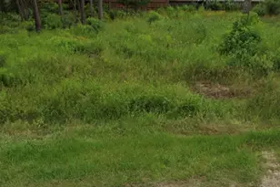 1307 Flamingo St, Conroe, TX 77385 - Photo 1