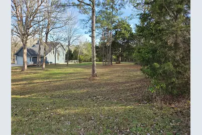 Tbd Toucan Lane, Coldspring, TX 77331 - Photo 3
