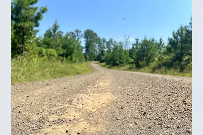 11 Carters Ferry Road, Milam, TX 75959 - Photo 3