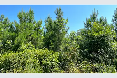 11 Carters Ferry Road, Milam, TX 75959 - Photo 5