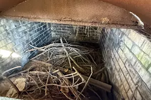 7325 Ley Rd, Houston, TX 77028 - Photo 45