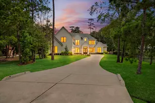 27711 N Ossineke Dr, Spring, TX 77386 - Photo 3