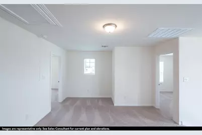 14142 Gingko Court, Crosby, TX 77532 - Photo 13